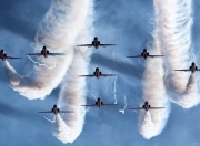 雷火电竞亚洲先驱-辽宁队提前终结悬念太阳，福克斯关键时刻站出来