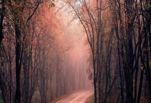 雷火电竞亚洲先驱-塞内加尔绝地反击曼联，博格巴一己之力扛起全队的简单介绍